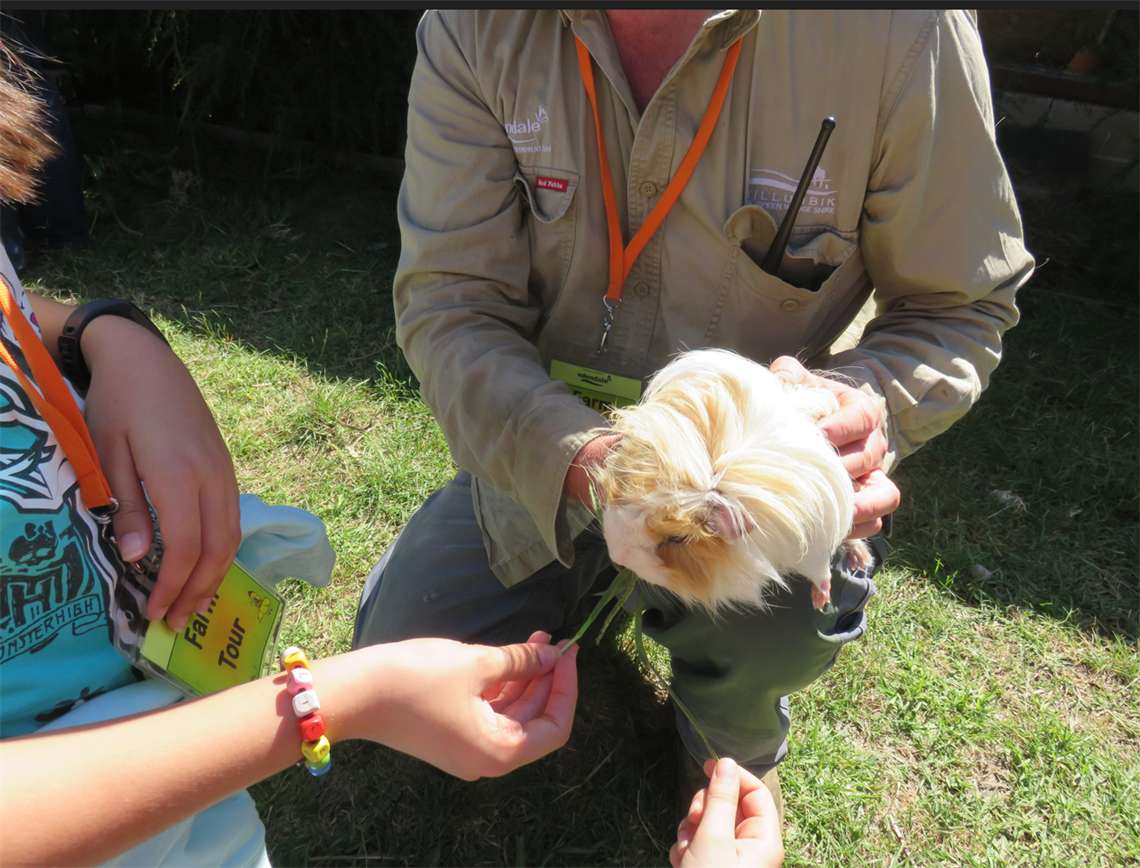 Joel feeding guinea pig.png