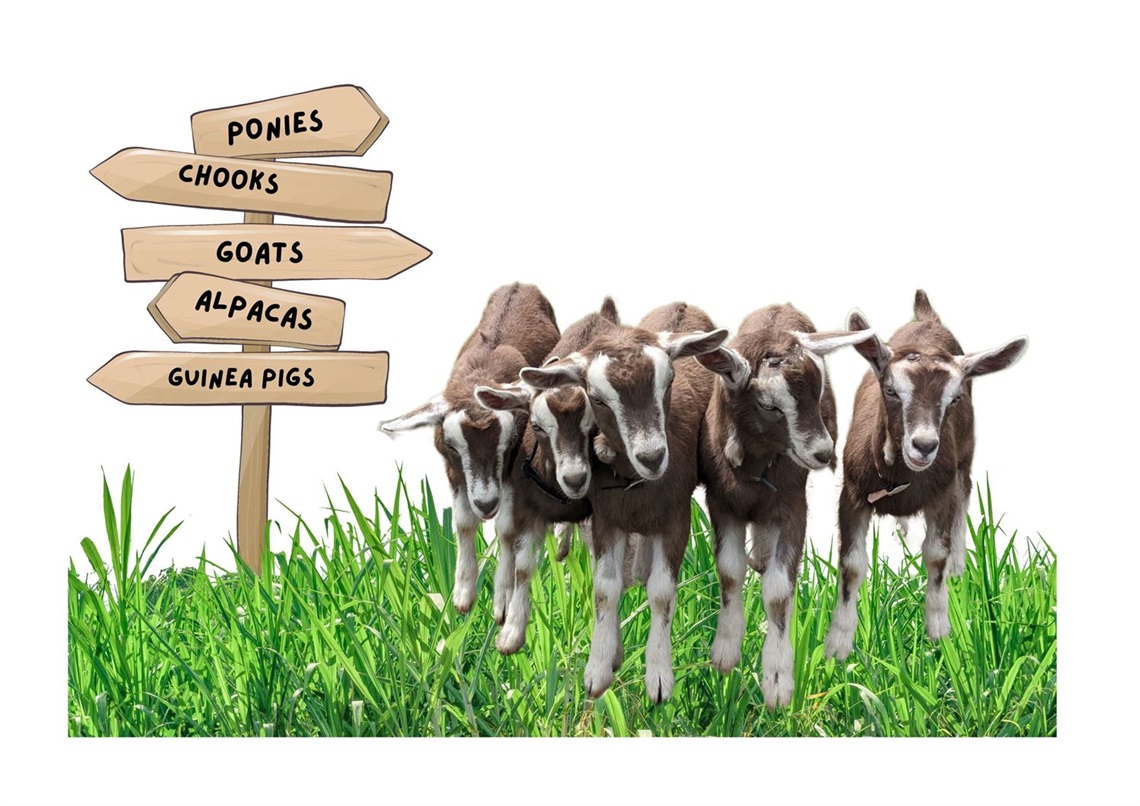 Junior-farmers-Goats-with-sign-post-1.jpg