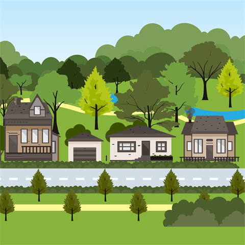 An illustration of trees, roads and houses