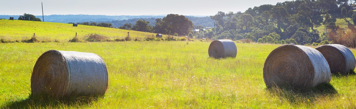 A landscape photo of a farm paddock with bales of hay