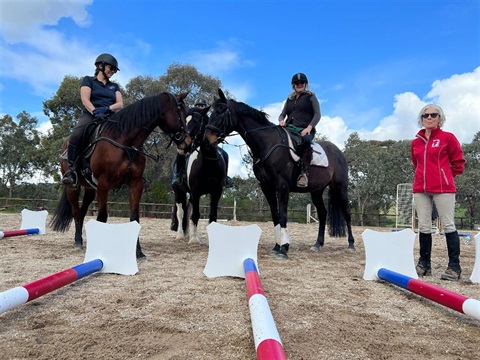 Three horses and two riders in front of jumping poles