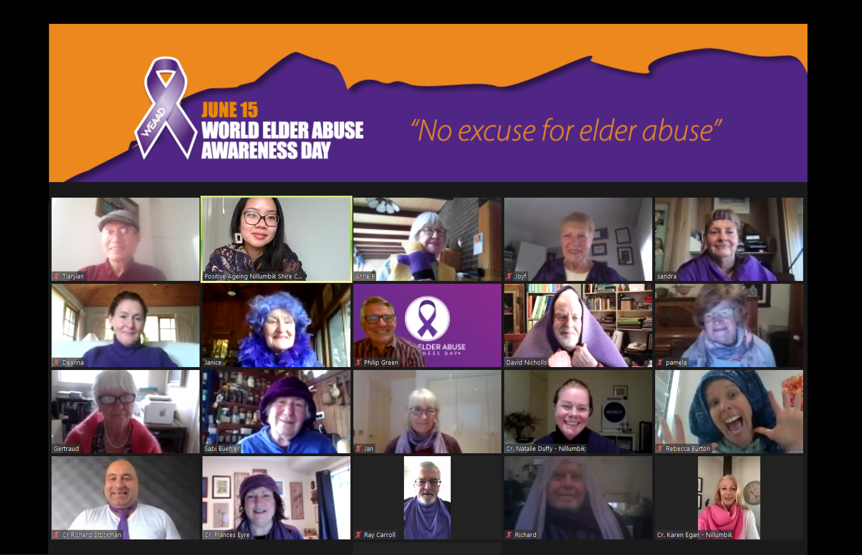 A screenshot of the Positive Ageing Advisory Committee's zoom meeting, with a heading to signify that the image was captured to acknowledge World Elder Abuse Awareness Day.