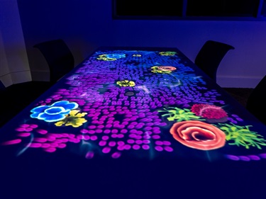 Magic Table (Tovertafel)