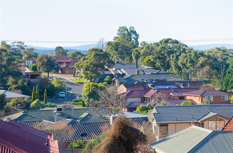 Landscape photo of houses and trees