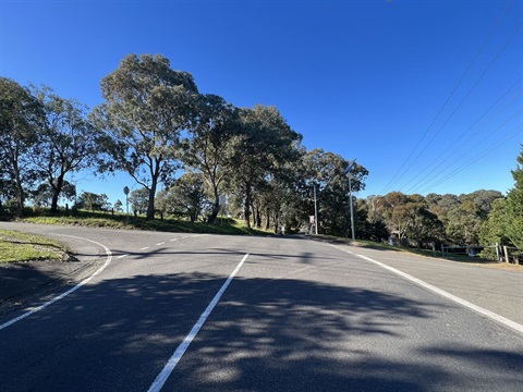 Photo of a bitumen road intersection with trees and blue sky