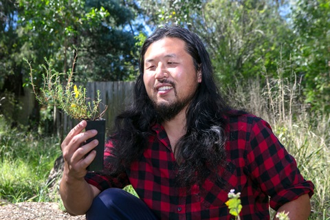 A man is sitting outdoors looking at a native seedling