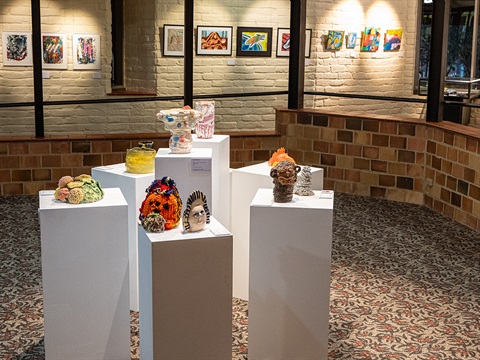 Image of colourful ceramics installed on plinths in the gallery and framed colourful and happy works on the walls