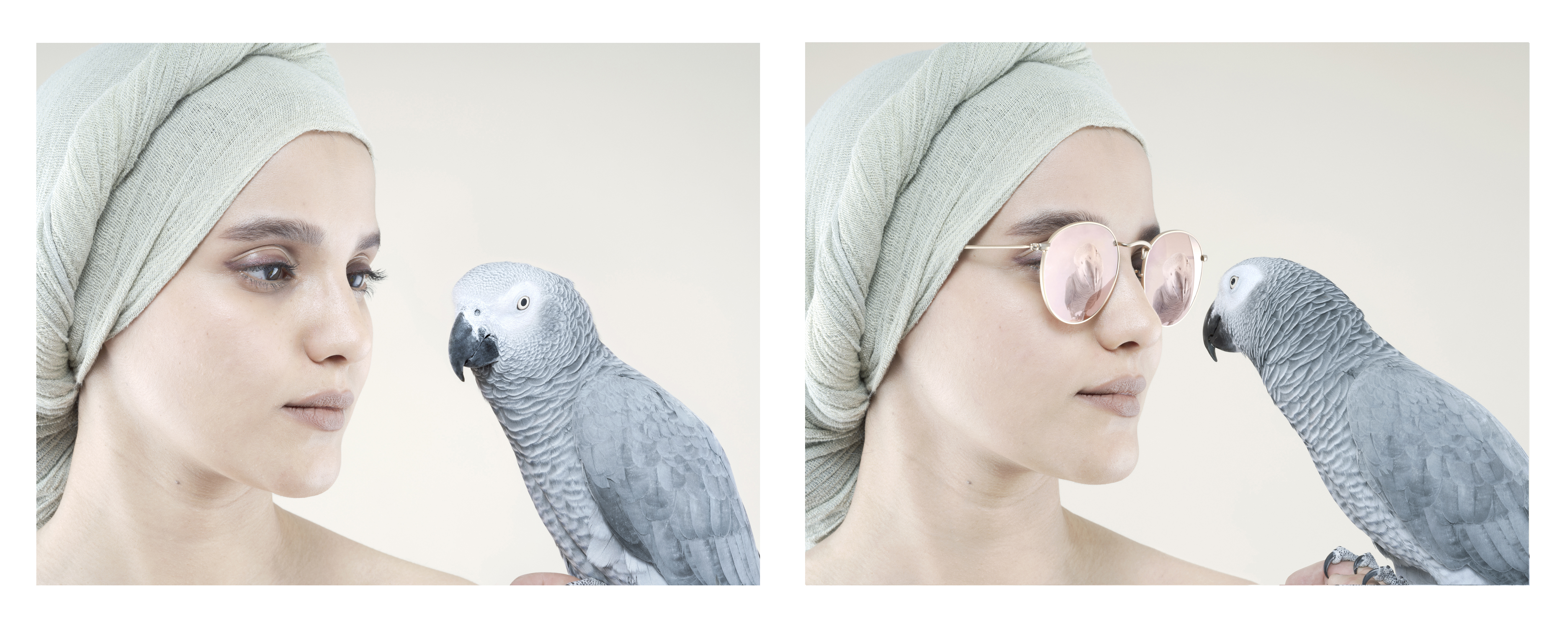 HICKS_Petrina_Self-awareness_Grey_Parrot.jpg