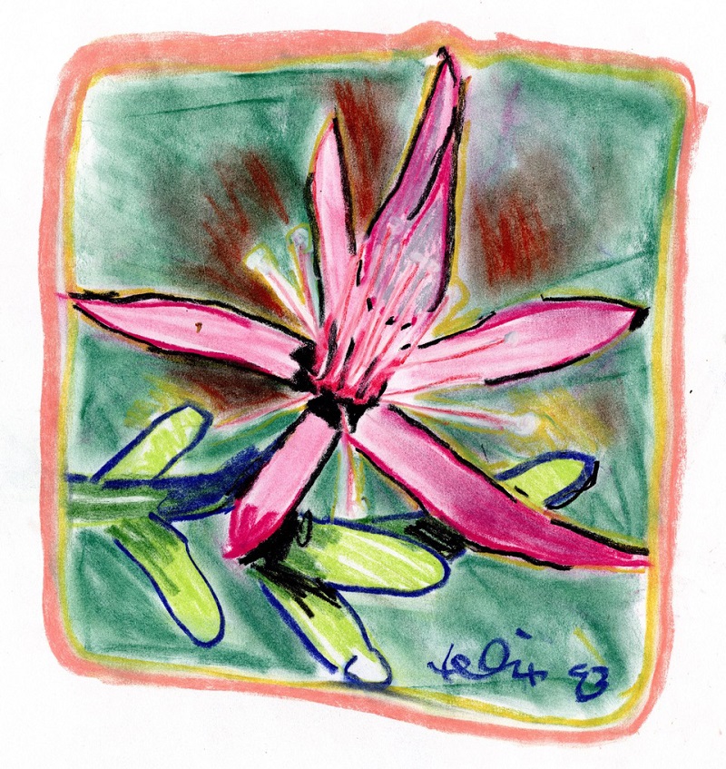 A graphic drawing of a Pink Orchid with a deep green coloured background and a square border around the image in yellow and orange