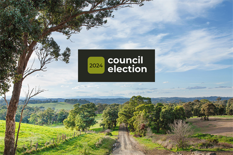 Council election