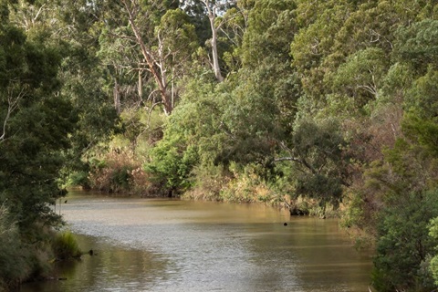 This is a photograph of the Yarra River at Eltham South.