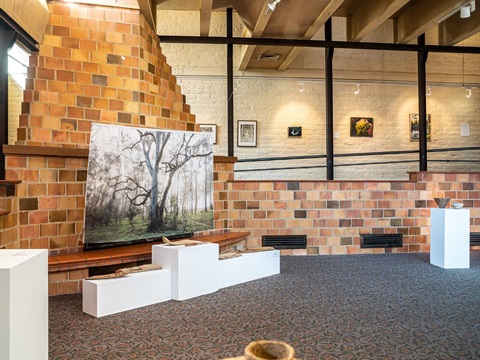 Install photograph 'Solitude', Eltham Library Community Gallery