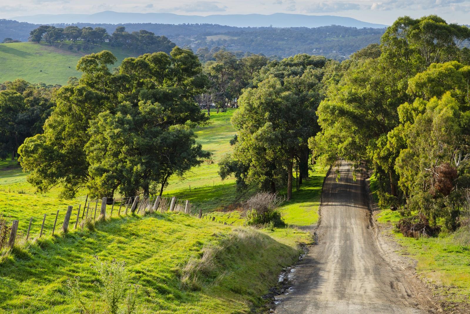 Diamond Creek Dog Park Nillumbik Shire Council