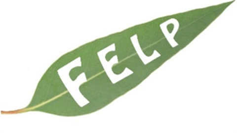 001.FELP-LOGO-Image_Picture3