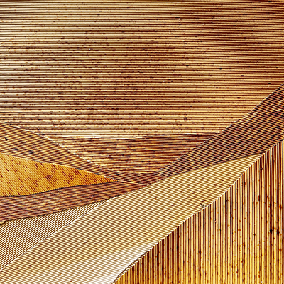 Layers of Cardboard and shellac create an image of a landscape